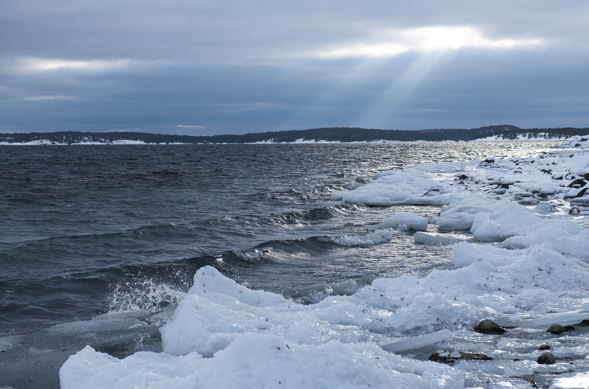  Vinterbilder från Dalarö varv och marinor.