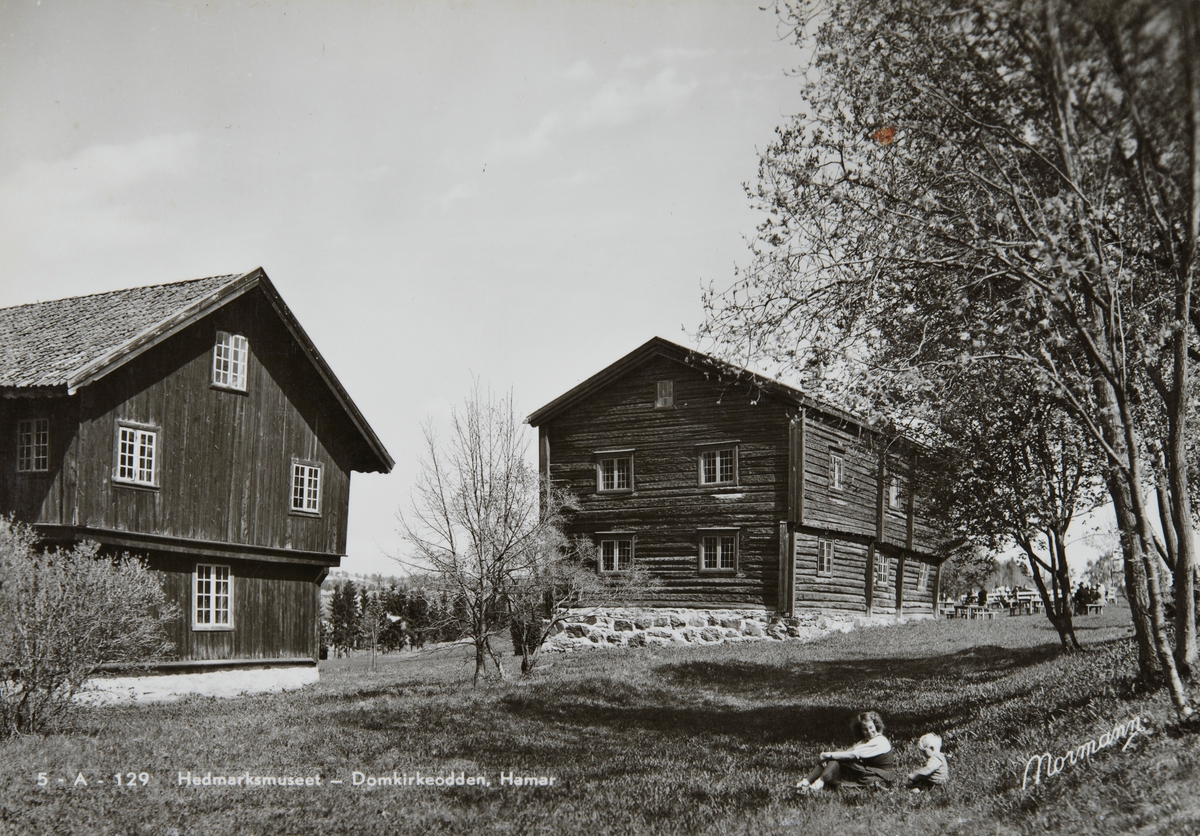 Postkort, Hamar, Bolstadbygningen og Skøienbygningen som er en del av Hedmarkstunet, friluftsmuseet på Hedmarksmuseet og Domkirkeodden,