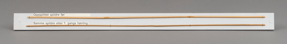 To splitcaneribber, spildrer av bambus (tonkinbambus), montert på en hvitmalt treplate. Spildrene har sitt utgansgpunkt i et bambusråemne (tonkinbambus) som er splittet opp og industrielt behandlet i firmaet Asbjørn Hørgårds maskiner, for deretter å bli limt sammen til fiskestenger.  Montasjen med de to spildrene har vært utstilt i museets basisutstilling om ferskvannsfiske fram til cirka 2013.

På den hvite treplata ses øverst en oppslittet spildre før høvling og nederst en spildre (ribbe) etter først gangs høvling. En stangdel i den ferdige fiskestanga, splitcanestanga, bestod av 6 ribber (spildrer). 

[Se referanser og referanser til filer for mer informasjon om hvordan framstillingen av splitkeinstenger foregikk. Se fanen "Opplysninger" for informasjon om Asbjørn Hørgård og hans firma. ]