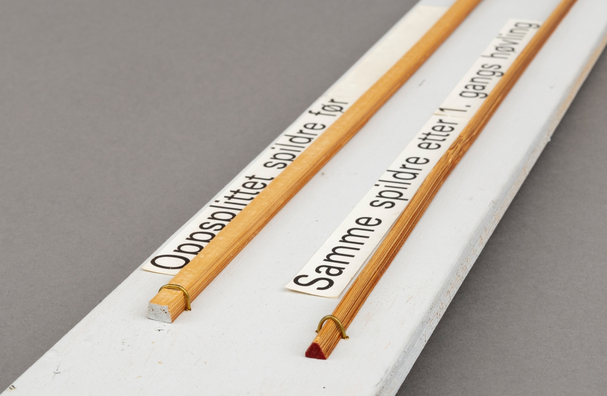 To splitcaneribber, spildrer av bambus (tonkinbambus), montert på en hvitmalt treplate. Spildrene har sitt utgansgpunkt i et bambusråemne (tonkinbambus) som er splittet opp og industrielt behandlet i firmaet Asbjørn Hørgårds maskiner, for deretter å bli limt sammen til fiskestenger.  Montasjen med de to spildrene har vært utstilt i museets basisutstilling om ferskvannsfiske fram til cirka 2013.

På den hvite treplata ses øverst en oppslittet spildre før høvling og nederst en spildre (ribbe) etter først gangs høvling. En stangdel i den ferdige fiskestanga, splitcanestanga, bestod av 6 ribber (spildrer). 

[Se referanser og referanser til filer for mer informasjon om hvordan framstillingen av splitkeinstenger foregikk. Se fanen "Opplysninger" for informasjon om Asbjørn Hørgård og hans firma. ]