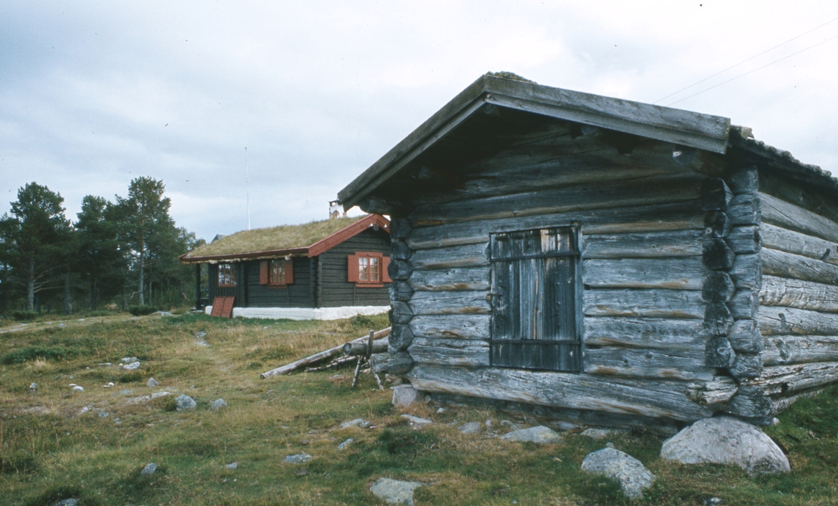 Buvika. Engerdal. 1980