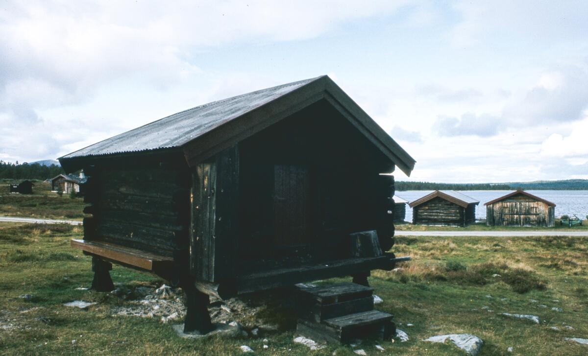 Buvika. Engerdal. 1980