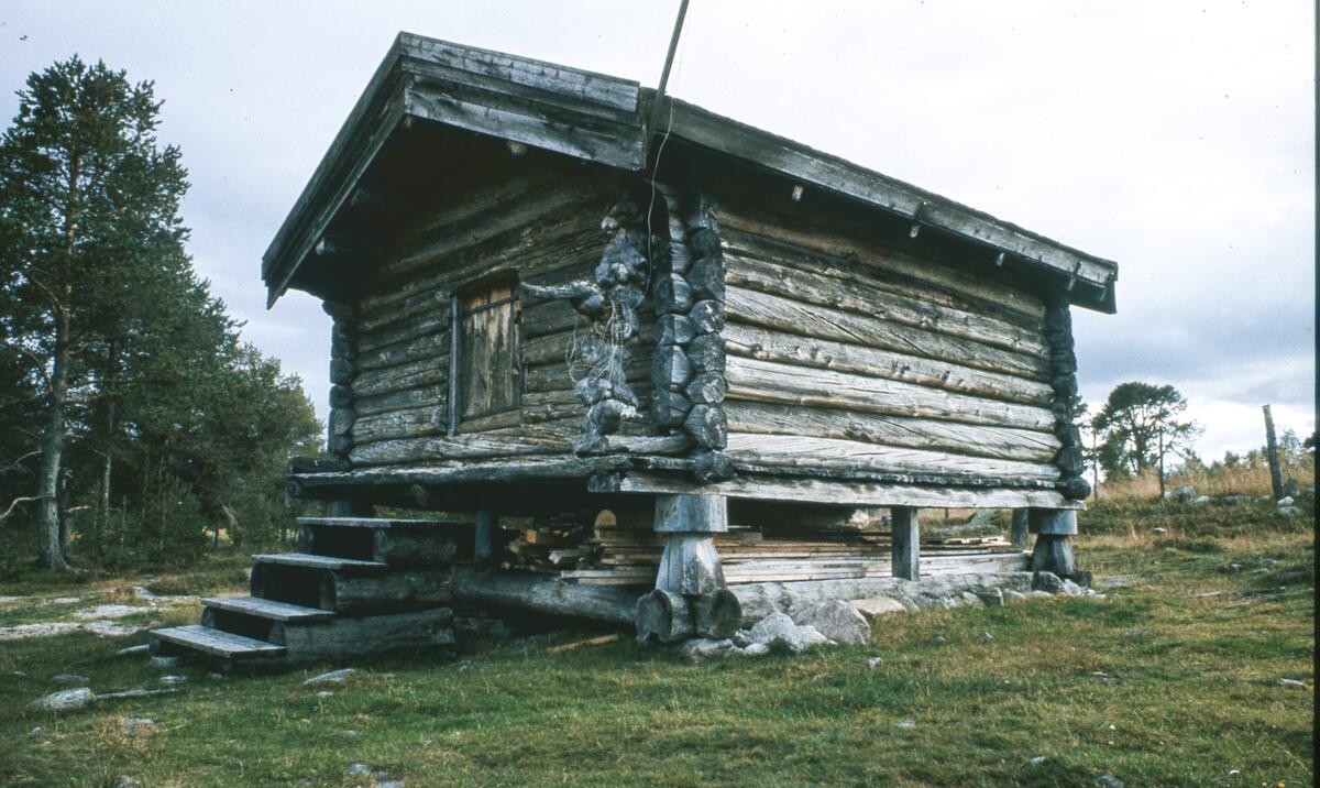 Buvika. Engerdal. 1980