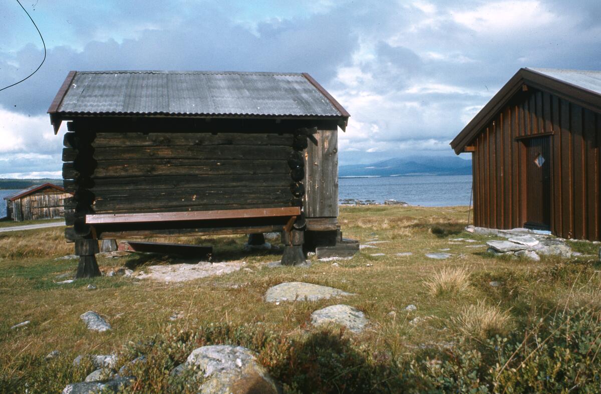 Buvika. Engerdal. 1980