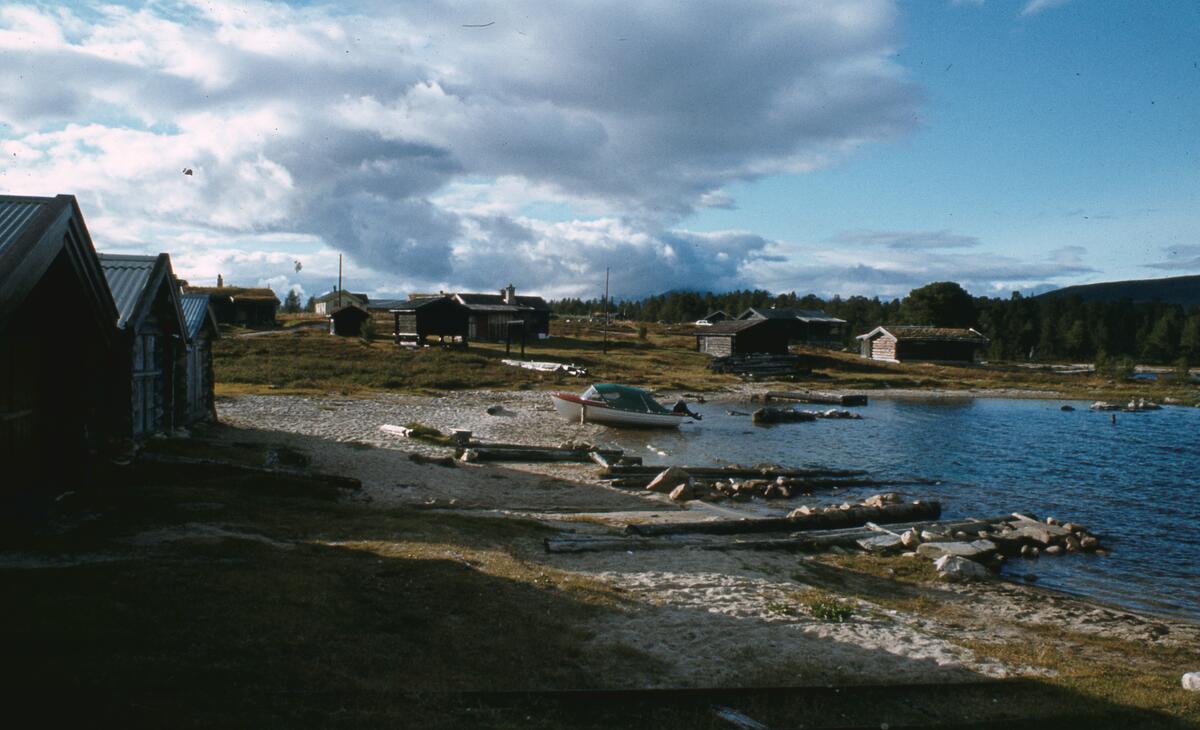 Buvika. Engerdal. 1980