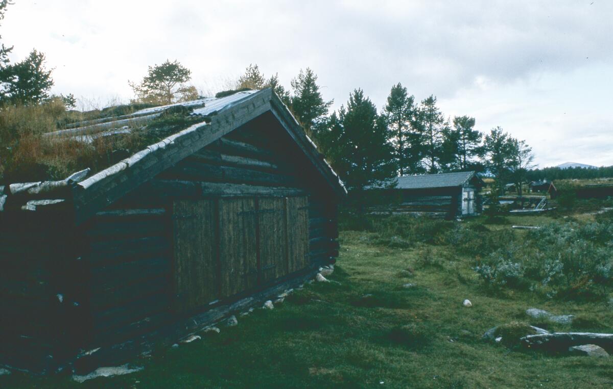 Buvika. Engerdal. 1980