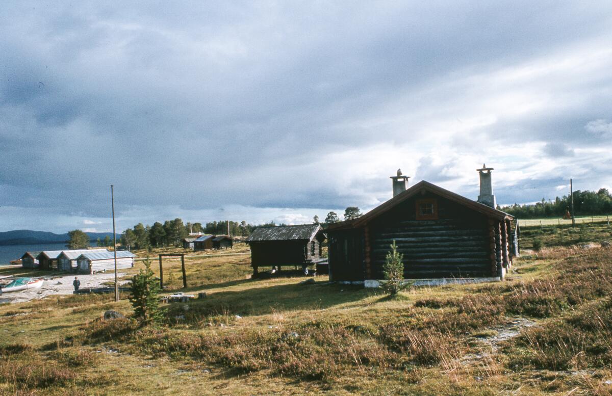 Buvika. Engerdal. 1980