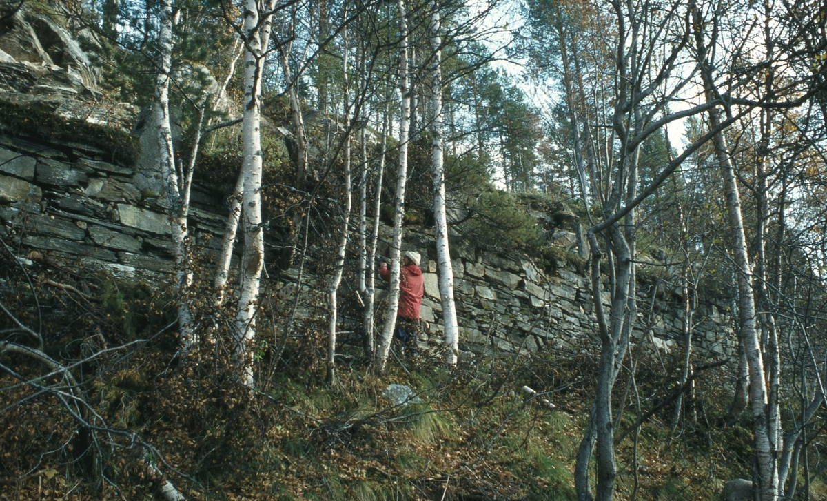 Kongevegen. Kvikne 1979