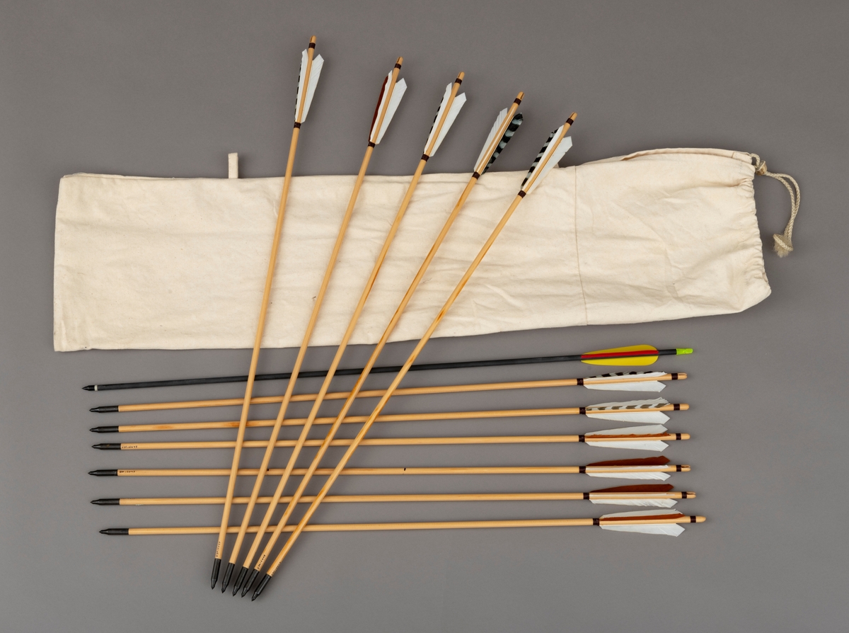 Gjenstanden består av et sett med piler i en hvit tøypose. Det er 11 trepiler og 1 pil av karbonmaterale (karobonfiber) i tøyposen. Pilene er brukt sammen med langbue, SJF.15046. 

De 11 trepilene har sannsynligvis skaft av furu, pålimt feltspiss og styrefjær av kalkun. Styrefjærene er ensfarget hvite og brune, enkelte er flerfargete. I enden er det utskåret et hakk (nokk) for buestrengen. Det er påsurret rødbrun lintråd på pilskaftet ved pilas nokk og ved fjærendene. Lintråden er satt på med lim. 

Pilen av karbonmateriale (karbonfiber) er utstyrt med feltspiss. Pilen har styrefjær av kunststoff i rødt og gult. Pilen har en grøn nokk av plastmateriale i enden som tres på buestrengen. Pilen og har gjenger i ene enden, slik at spissen kan byttes etter behov.

Den hvite tøyposen ("pilkoggeret"), antatt laget av bomull (kanvas), har et stort rom for oppbevaring av piler. Åpningen  strammes med en snor tredd gjennom en hylse av bein. Når posen ligger plant har den en rektagulær form. På ene siden er det påsydd to hemper. Posens sømmer er hvite. 

[En langbue med nummer SJF.15046 er relatert til pilsettet, se fanen "Relaterte objekter"]