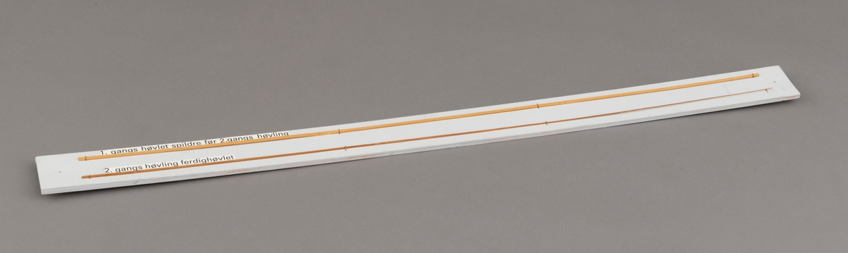 To splitcaneribber, spildrer av bambus (tonkinbambus), montert på en hvitmalt treplate. Spildrene har sitt utgansgpunkt i et bambusråemne (tonkinbambus) som er splittet opp og industrielt behandlet i firmaet Asbjørn Hørgårds maskiner, for deretter å bli limt sammen til fiskestenger.  Montasjen med de to spildrene har vært utstilt i museets basisutstilling om ferskvannsfiske fram til cirka 2013.

På den hvite treplata ses øverst en 1. gangs høvlet spildre før 2. gangs høvling og nederst en spildre (ribbe) etter 2. gangs høvling og som regnes som ferdig høvlet. En stangdel i ferdige fiskestanga, splitcanestanga, bestod av 6 ribber (spildrer). 

[Se referanser og referanser til filer for mer informasjon om hvordan framstillingen av splitkeinstenger foregikk. Se fanen "Opplysninger" for informasjon om Asbjørn Hørgård og hans firma. ]