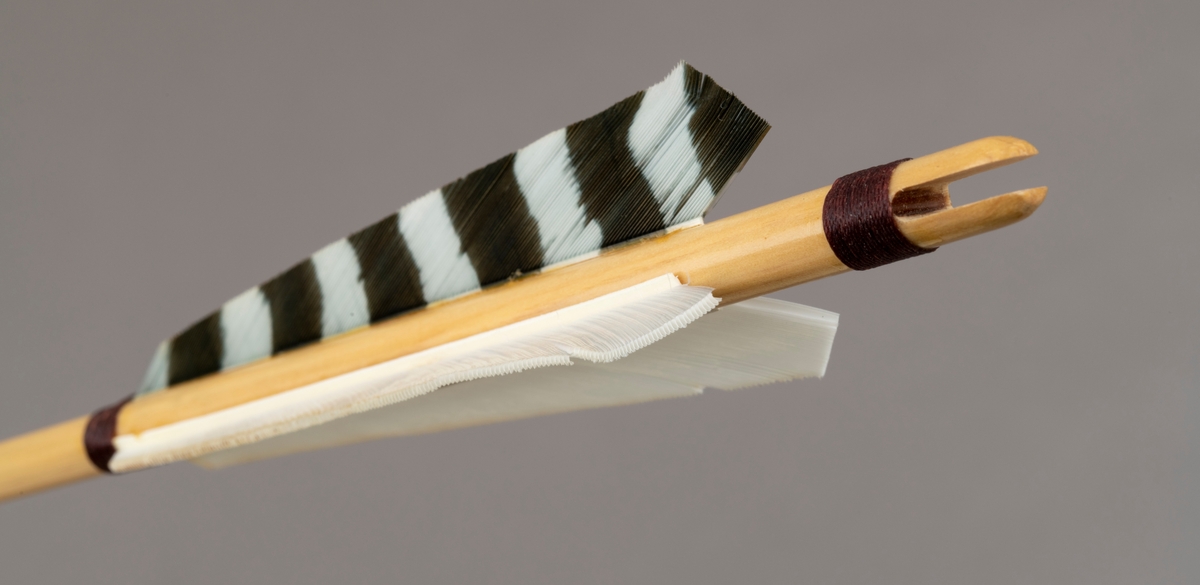 Gjenstanden består av et sett med piler i en hvit tøypose. Det er 11 trepiler og 1 pil av karbonmaterale (karobonfiber) i tøyposen. Pilene er brukt sammen med langbue, SJF.15046. 

De 11 trepilene har sannsynligvis skaft av furu, pålimt feltspiss og styrefjær av kalkun. Styrefjærene er ensfarget hvite og brune, enkelte er flerfargete. I enden er det utskåret et hakk (nokk) for buestrengen. Det er påsurret rødbrun lintråd på pilskaftet ved pilas nokk og ved fjærendene. Lintråden er satt på med lim. 

Pilen av karbonmateriale (karbonfiber) er utstyrt med feltspiss. Pilen har styrefjær av kunststoff i rødt og gult. Pilen har en grøn nokk av plastmateriale i enden som tres på buestrengen. Pilen og har gjenger i ene enden, slik at spissen kan byttes etter behov.

Den hvite tøyposen ("pilkoggeret"), antatt laget av bomull (kanvas), har et stort rom for oppbevaring av piler. Åpningen  strammes med en snor tredd gjennom en hylse av bein. Når posen ligger plant har den en rektagulær form. På ene siden er det påsydd to hemper. Posens sømmer er hvite. 

[En langbue med nummer SJF.15046 er relatert til pilsettet, se fanen "Relaterte objekter"]