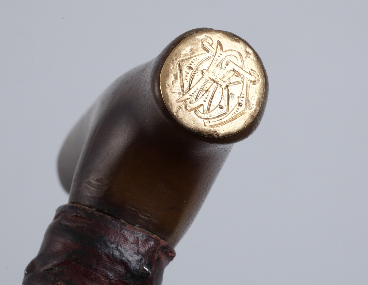 Käpp av spanskt rör. Käppen spräckt nertill. På kryckan en platta av guld med monogram. Doppsko saknas.

Käppen har tillhört Christina Nilsson, som enligt uppgift av Frk. A Wahlqvist fått den av president W. Taft i samband med besök i Amerika. Christina Nilsson har i sin tur givit den till sin sällskapsdam Fröken Anna Wahlqvist, Växjö.

Inskrivet i huvudkatalog 1950.