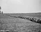 En lång rad infanterister i värn vid Bröttjestad i Slaka. Bild i samband med mobiliseringsinkallelse år 1900.