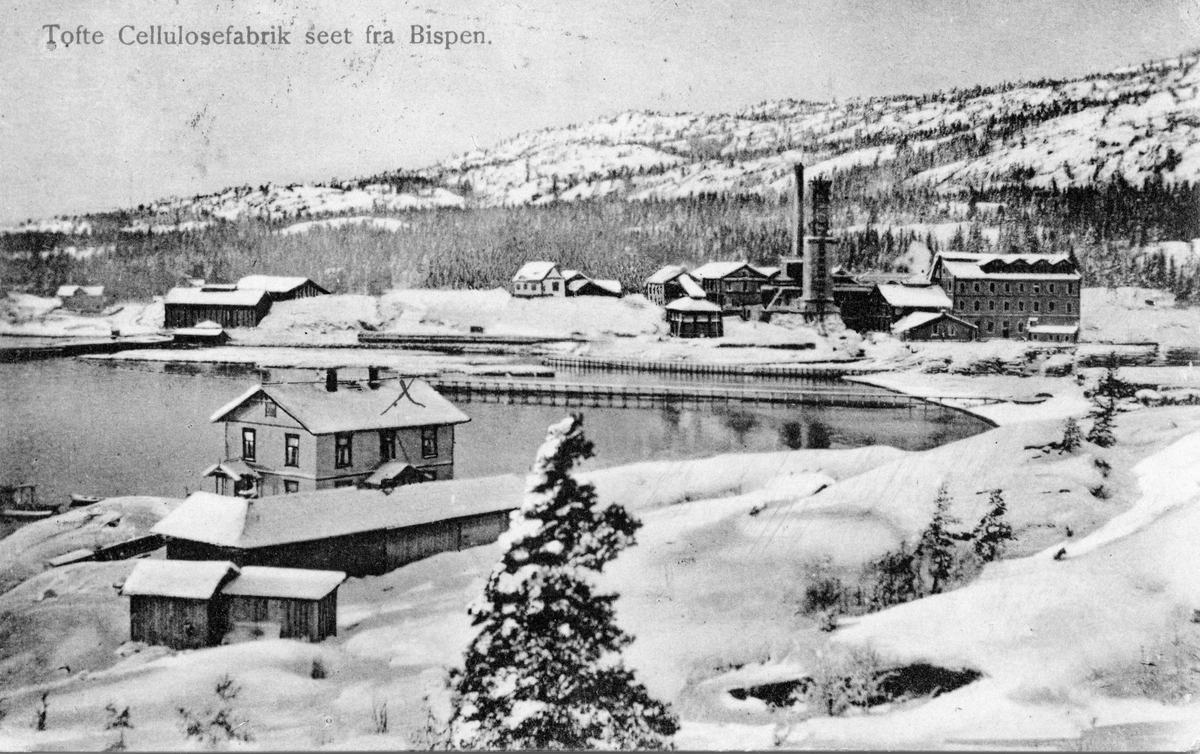 Tofte Cellulosefabrik i Hurum i Buskerud, slik industrianlegget (som ble påbegynt i 1897) så ut i en tidlig fase, antakelig omkring 1910.  Fotografiet er tatt fra et høydedrag som ble kalt Bispen over ei lita bukt, der fabrikkanlegget ligger innerst inne, på motsatt side av bukta.  I forgrunnen ligger et toetasjes sveitserhus med tilhørende uthusbygninger.  Fabrikkanlegget besto av flere bygninger, de fleste sannsynligvis utført i teglmur, og et par høye skorsteinspiper.  Til venstre i bildet, cirka 100 meter fra cellulosefabrikken, ses et par andre bygninger med «industrielt utseende», samt et våningshus.  Bakenfor de nevnte industrianleggene lå et belte med skog og et høydedrag med bare spredt trevegetasjon.  Fotografiet er et vinteropptak med snødekt mark, men med åpen sjø. 