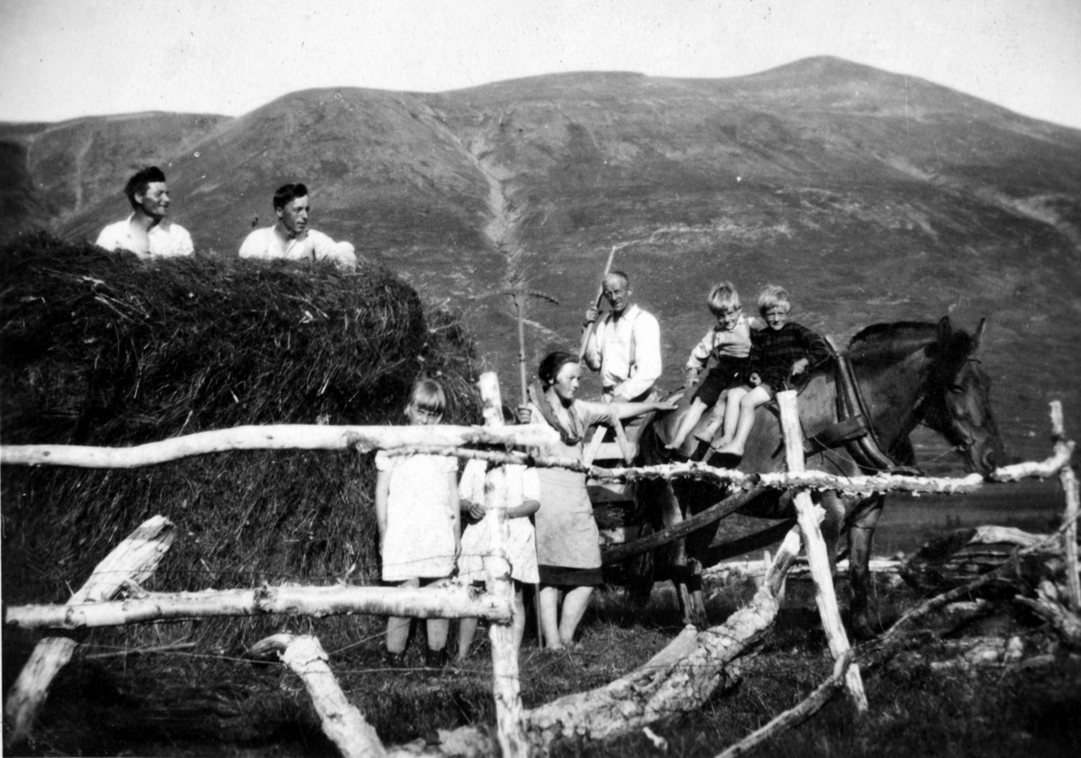 Høykjøring i Kvannfjellet