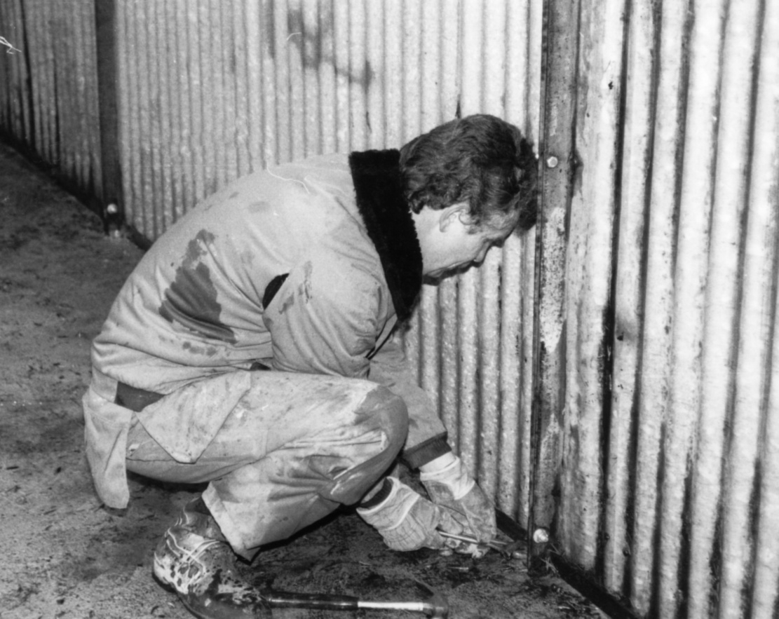 Nybyggnation av tre förråd 1986.

Utöver det tre förråden vid lägret monterades också ett enkelt emballageförråd vid ammunitionsförrådet på ön. Plåtskjulet hade tidigare stått vid Miloverkstaden i Strängnäs.

Denna typ av skjul byggdes också i vallbydalgången på Härads skjutfält och vid ammunitionsförrådet på N fältet i Strängnäs (typ E VI u).

Bild 1: Kurt Madell på taket och Kjell Strömkvist i dörröppningen.

Bild 2: Kurt på taket och hantverkaren Einar Lantz.

Bild 3: Einar ser ut att hålla på med någon metalltråd.

Bild 4: Hantverkaren Lars-Olov Sellberg mäter upp takplåt.

Bild 5: Kjell Strömkvist skruvar ihop väggsektioner.