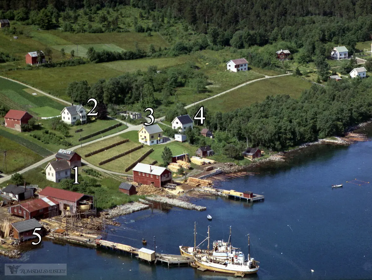 Gnr 51 Vestnes..1. Trygve og Brita Harvoll sitt hus. .2. Harald og Mari Ødegård sitt hus..3. Oluf og Lina Vestnes. Den 2. butikken i Vestnesbukta var i kjellaren her..4. Rakel Sande og sonen Martin Sande budde her. .5. Aasvervet, seinare J.R. Aas båtbyggeri, no Aas mek. Verksted AS