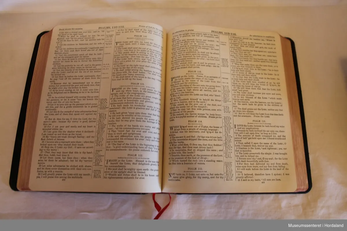 Stor, svart bibel med tittelen "Holy Bible" i gylne, dekorative bokstaver på forside og rygg.