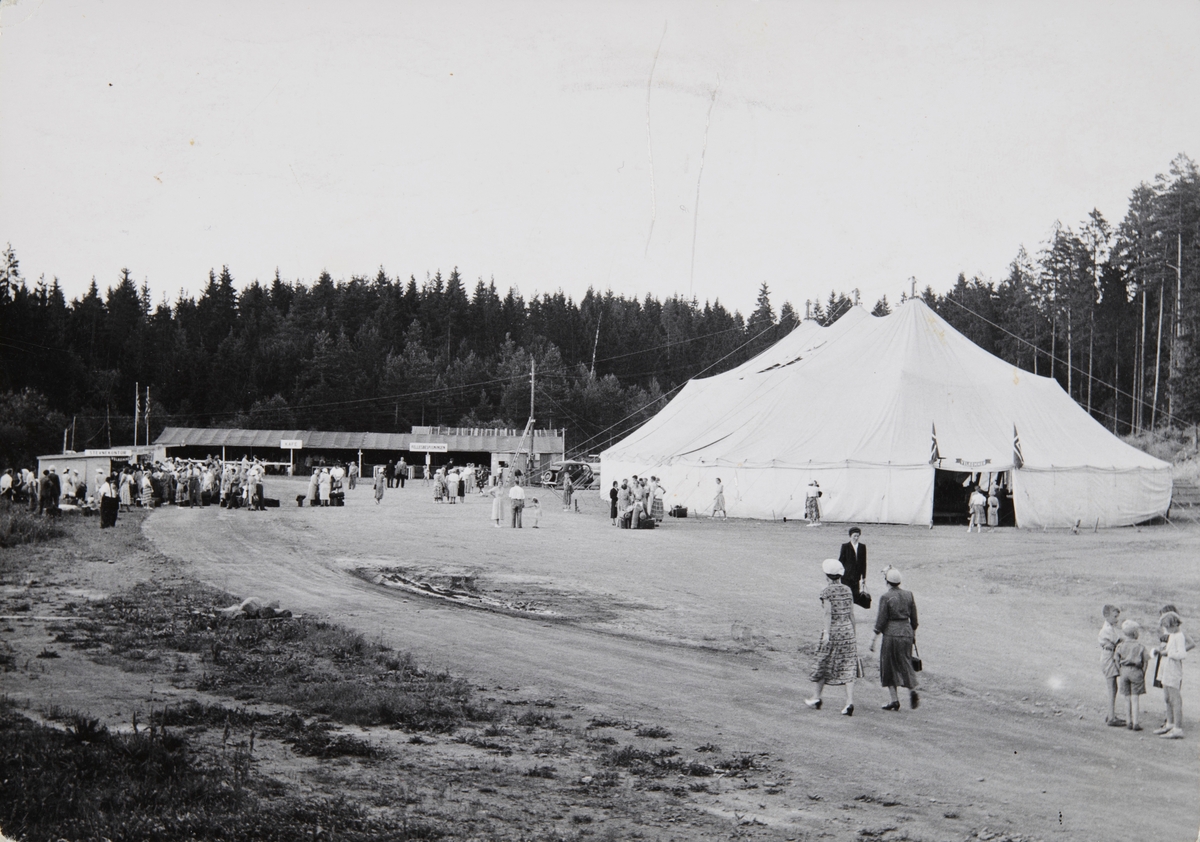 Postkort, Hamar, Ankerskogen, Greveløkka, Filadelfiamenigheten på Hamar, Pinsevennene arrangerte sommerstevner her i 1952 med 1400 deltakere og i 1953 med 4-5000 deltakere,