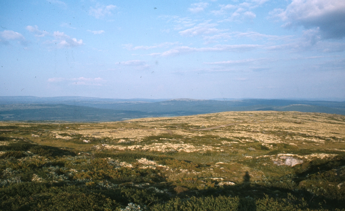 Fjellandskap Kvikneskogen