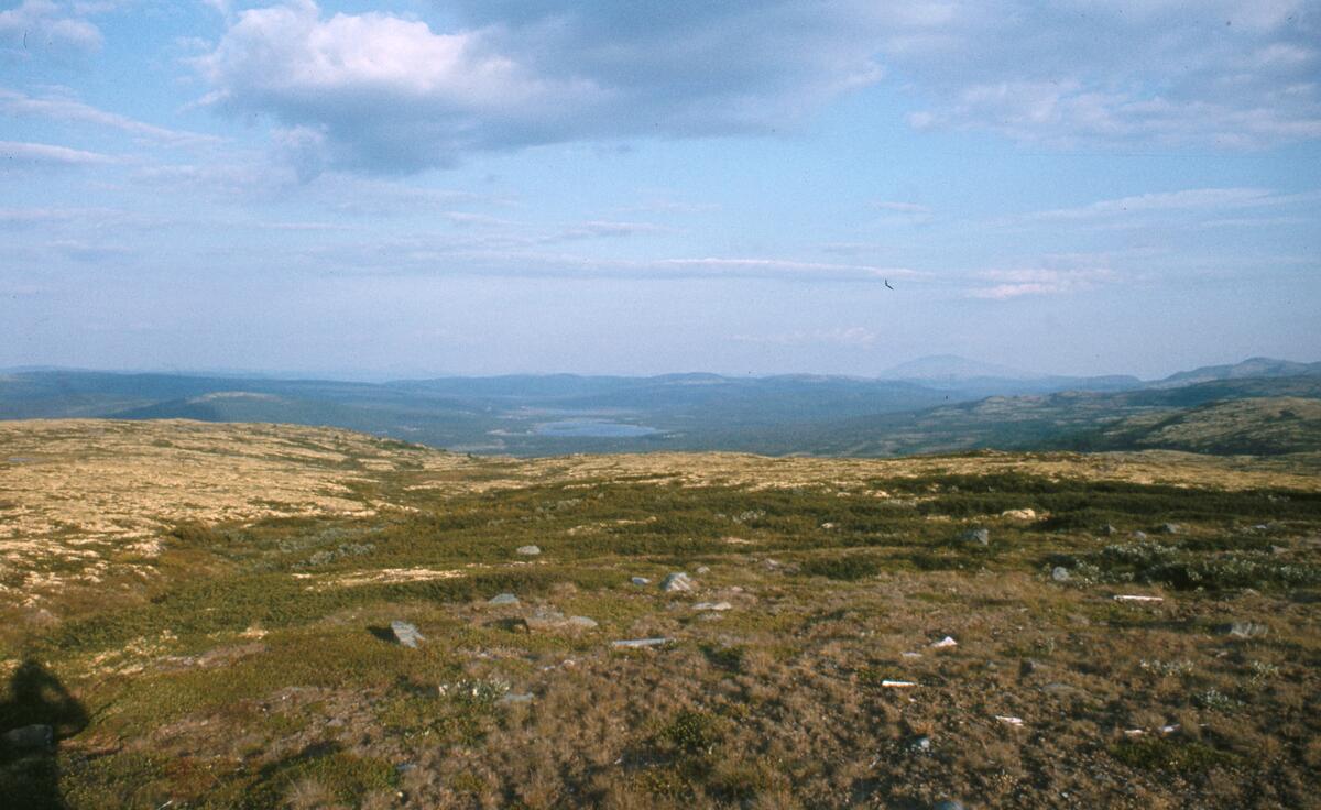 Fjellandskap Kvikneskogen