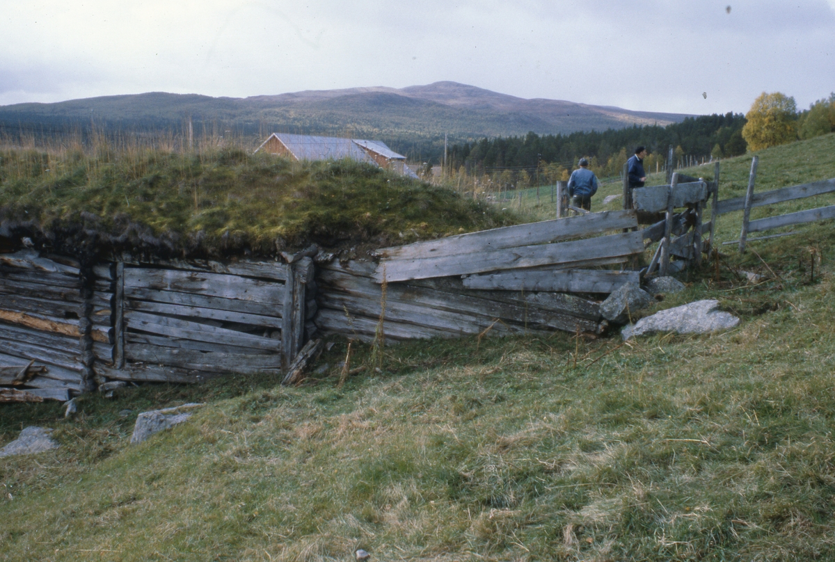 Borkhus. Folldal. 1979