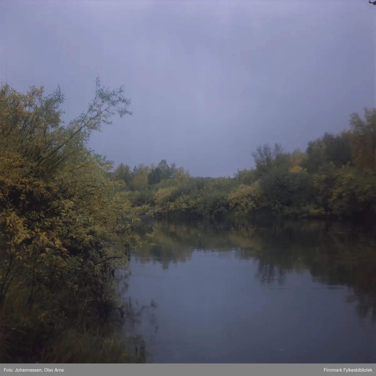 Foto av elv omringet av bjørkeskog, muligens Syltefjord

Foto trolig tatt på 1960/70-tallet