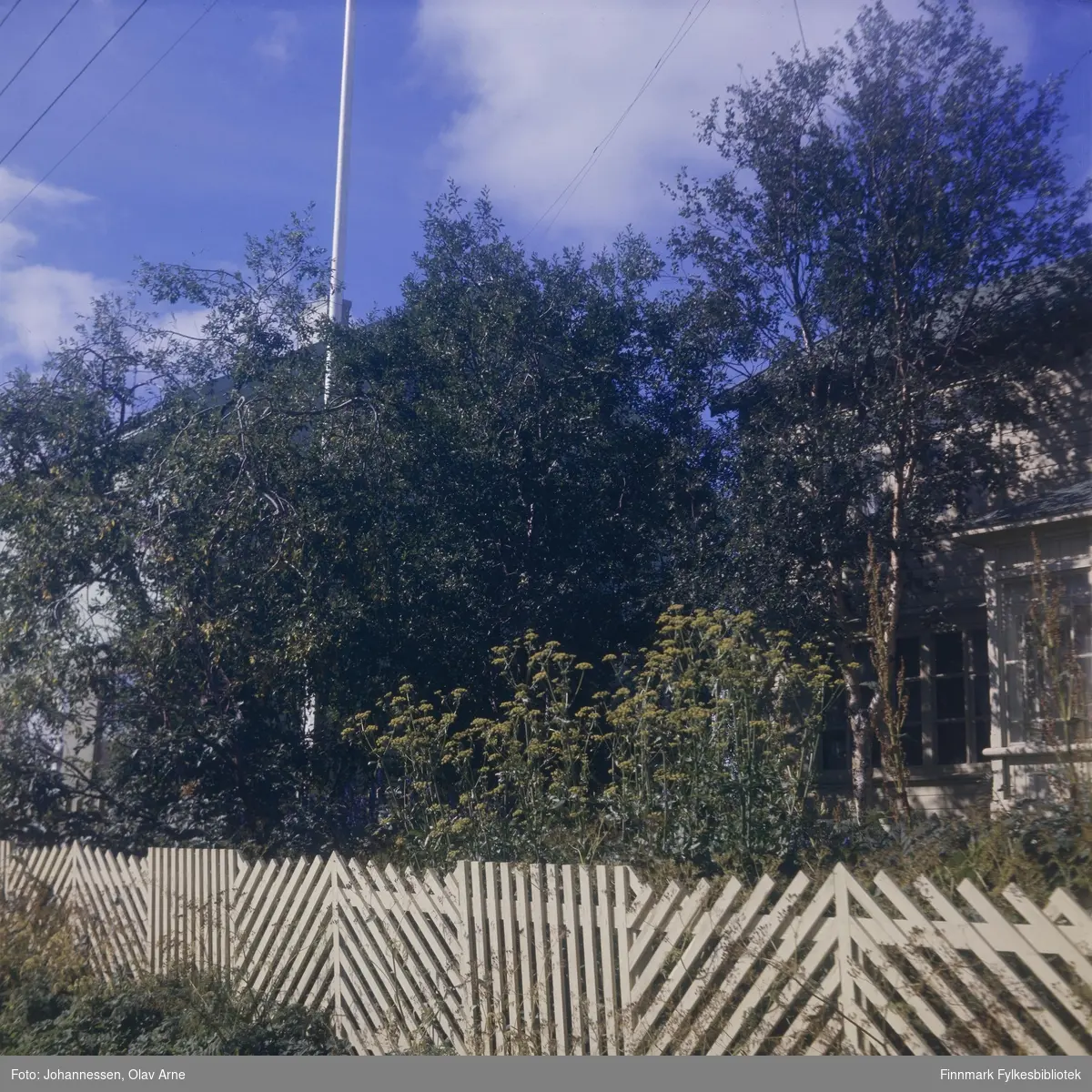 Foto av Isaksengården i Båtsfjord til høyre og bakeriet til venstre bak trærne 

Isaksengården fikk navnet sitt etter familien Isaksen som bodde der i en periode. Bygget er revet i dag 

Dagens Havnegata

Foto trolig tatt på 1960/70-tallet