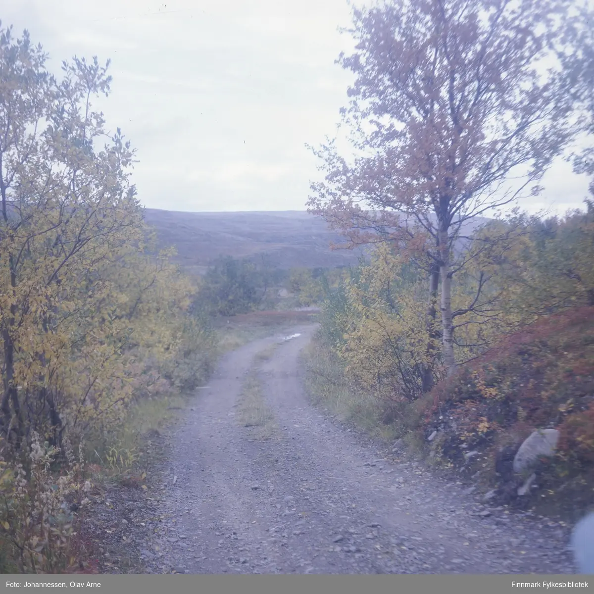 Foto av grusvei, veien ned til Jovannet i Båtsfjord 

Foto trolig tatt på 1960/70-tallet