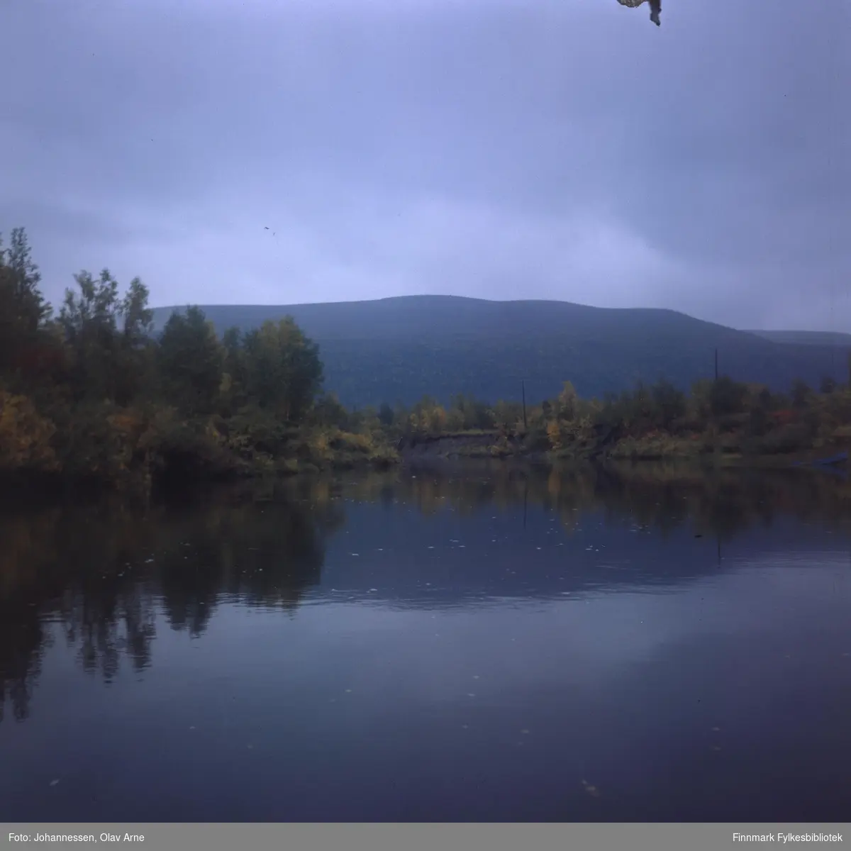 Foto av elv omringet av bjørkeskog, antagelig i Finnmark 

Foto trolig tatt på 1960/70-tallet