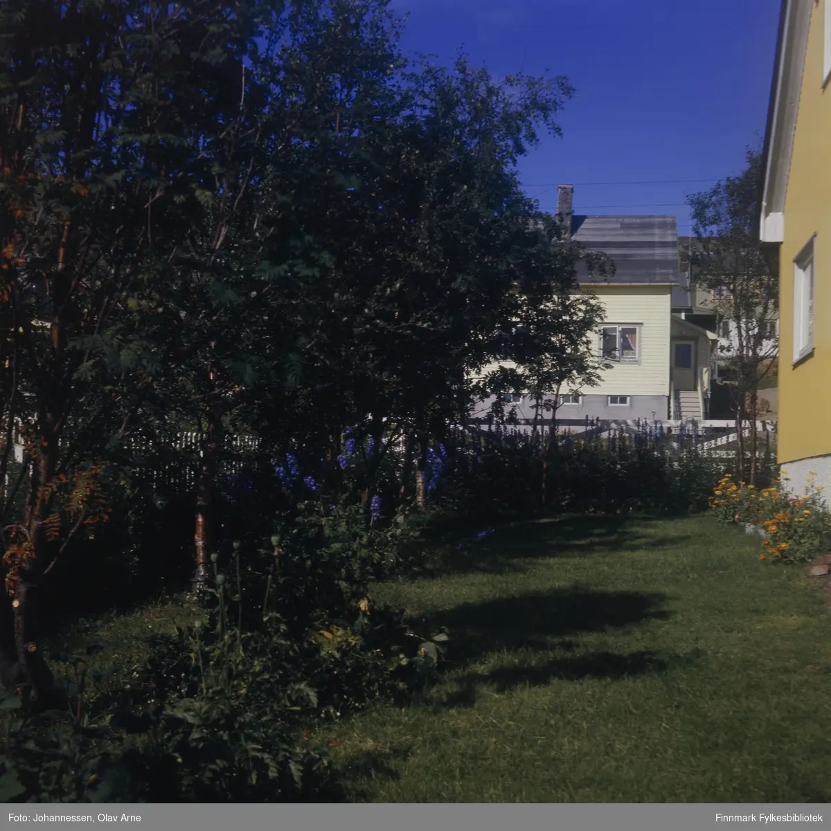 Foto av hage og hus

Det gule huset i til høyre var Jakob Simonsens hus, også kjent som Simonsenshuset på 1970-tallet. Huset brant ned 

Foto trolig tatt på 1960/70-tallet