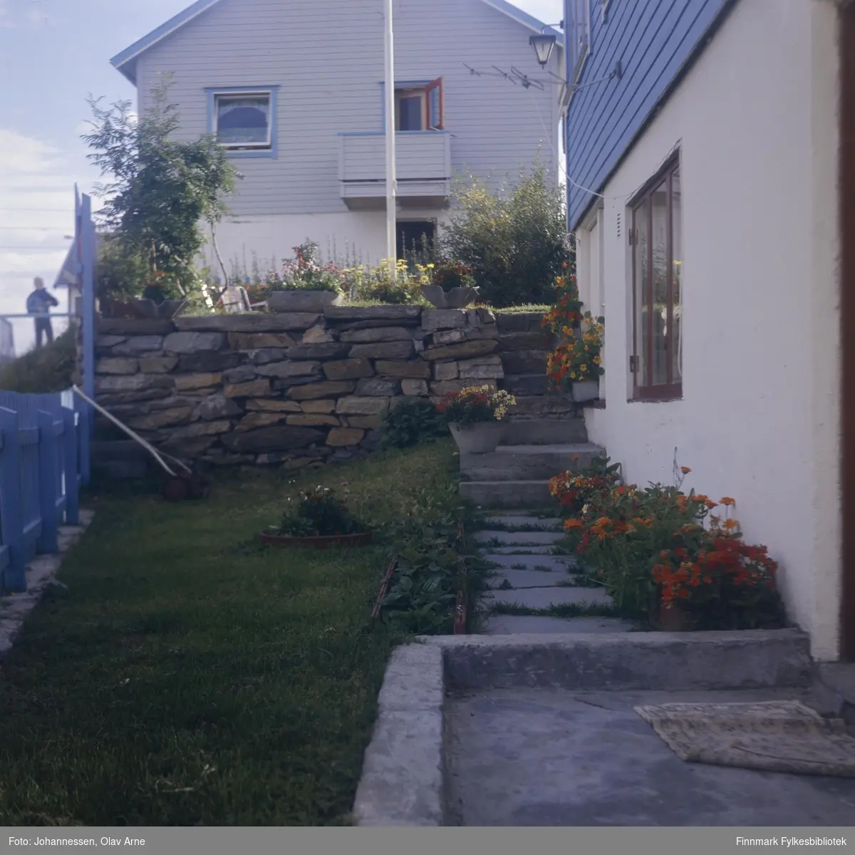 Foto av hage og hus

Huset i bakgrunnen ble kalt "Kristiansenhuset". Huset til høyre "Hansenhuset"

Informant: Hansenhuset hadde en av de fineste hagene i Båtsfjord. Bebodd av Kari og Julius Hansen. 

Foto trolig tatt på 1960/70-tallet