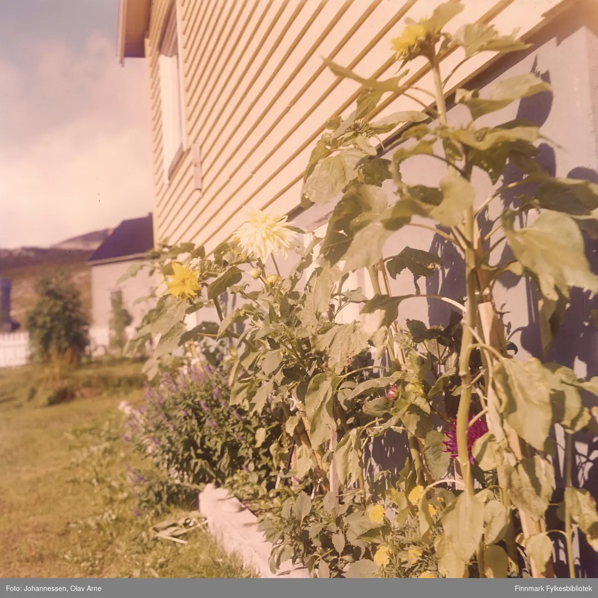 Foto av hus med hage

Foto trolig tatt på 1960/70-tallet