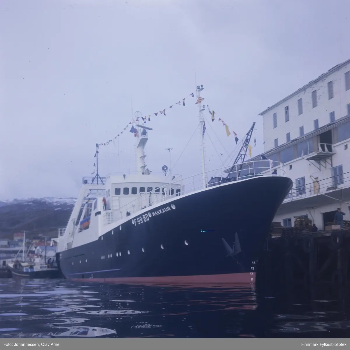 F-99-BD, "Makkaur". Tråler som tilhørte Finotro bruket i Båtsfjord

Ligger ved Finotro kaia

Foto trolig tatt på 1960/70-tallet