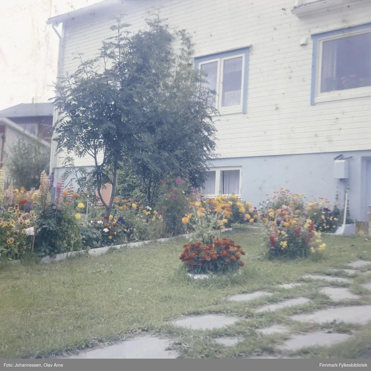 Foto av bolig med hage

Foto trolig tatt på 1960/70-tallet