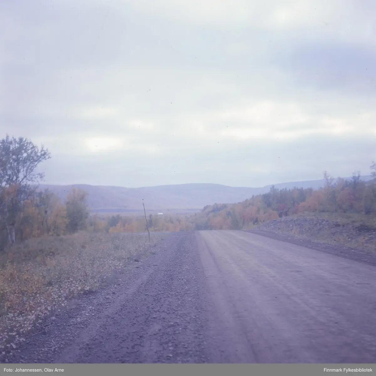 Foto av grusvei, antagelig i Finnmark 

Foto trolig tatt på 1960/70-tallet