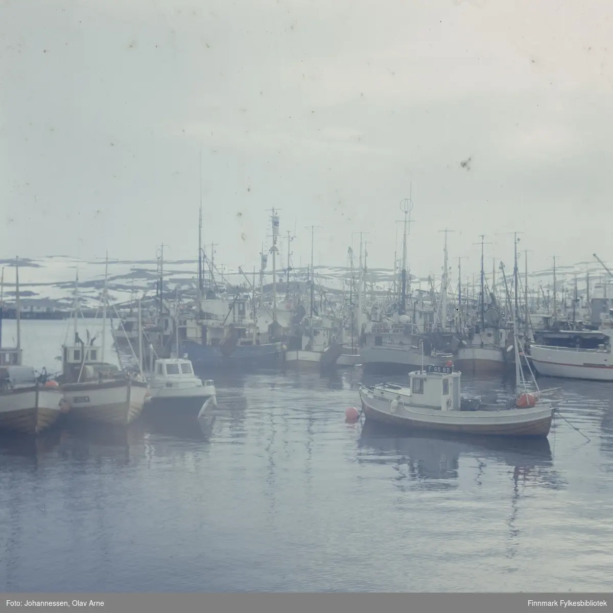 Fiskebåter i havn i Båtsfjord (Finnmark)

Båten i midten til høyre har nummer: F-95-BD. Båten het "Lasse" og var eid av Arnulf Bjørnenak (Båtsfjord, Finnmark). S. 9

Foto trolig tatt på 1960/70-tallet

Kilde: Register over merkepliktige norske fiskefarkoster 1973 (Finnmark)