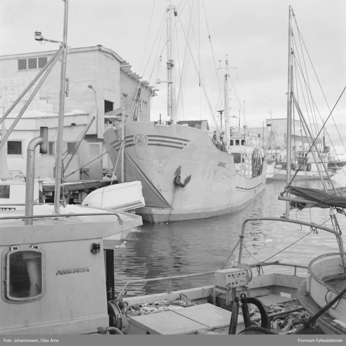 Foto av fiskebåter i Båtfjord, trolig på tidlig 1970-tallet

Båten Seines ved Nils H. Nilsens kai. FiNoTro i bakgrunnen til høyre.

I forgrunnen ligger en båt med teksten "Viksund" skrevet på rorhuset