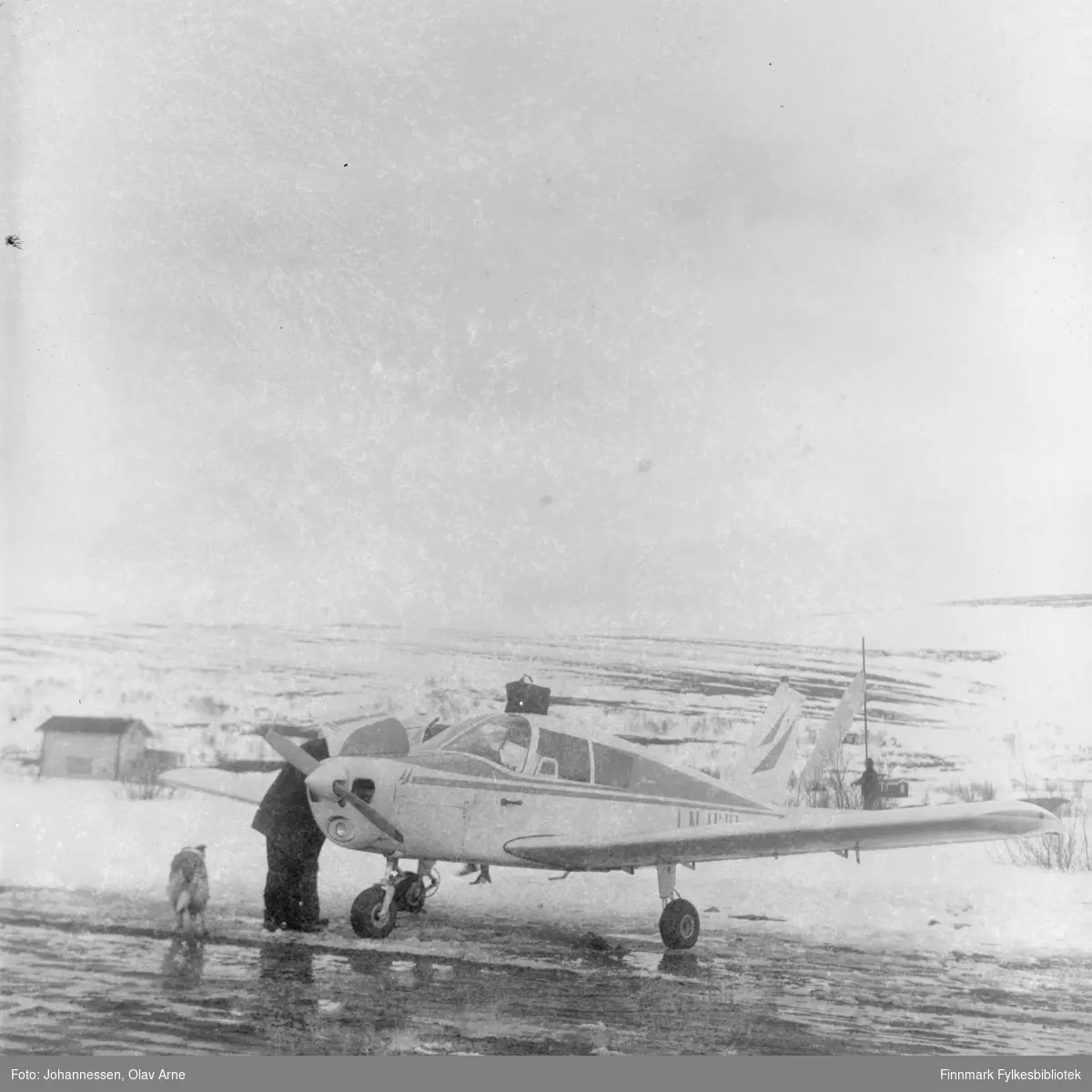 Ivar Bryggari i sitt Piper Cub fly på den private flyplassen i Båtsfjorddalen.

Foto av propellfly, Piper PA-28-180 Cherokee D. Flyet har ID nummer LN-HHH skrevet på venstre side (synes ikke på foto)

Flyet er omringet av sne og man ser vinterlandskap i bakgrunnen 