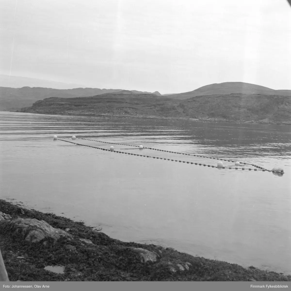 På Båtsfjorden, Finnmark

Foto trolig tatt på tidlig 1970-tallet
