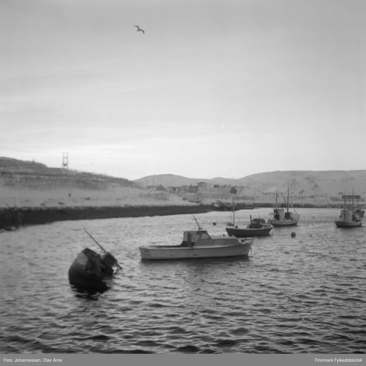 Hønsehuset sees på Storholmen i Båtsfjord

Foto av flere båter. Helt til venstre har en trebåt havarert. Teksten  T 200 T malt på siden (synes ikke på foto)

Kunster/fotograf Olaf Johannessen "Malerolaf" kan ha eid båten midt i bildet (usikkert)

Foto trolig tatt på tidlig 1970-tallet