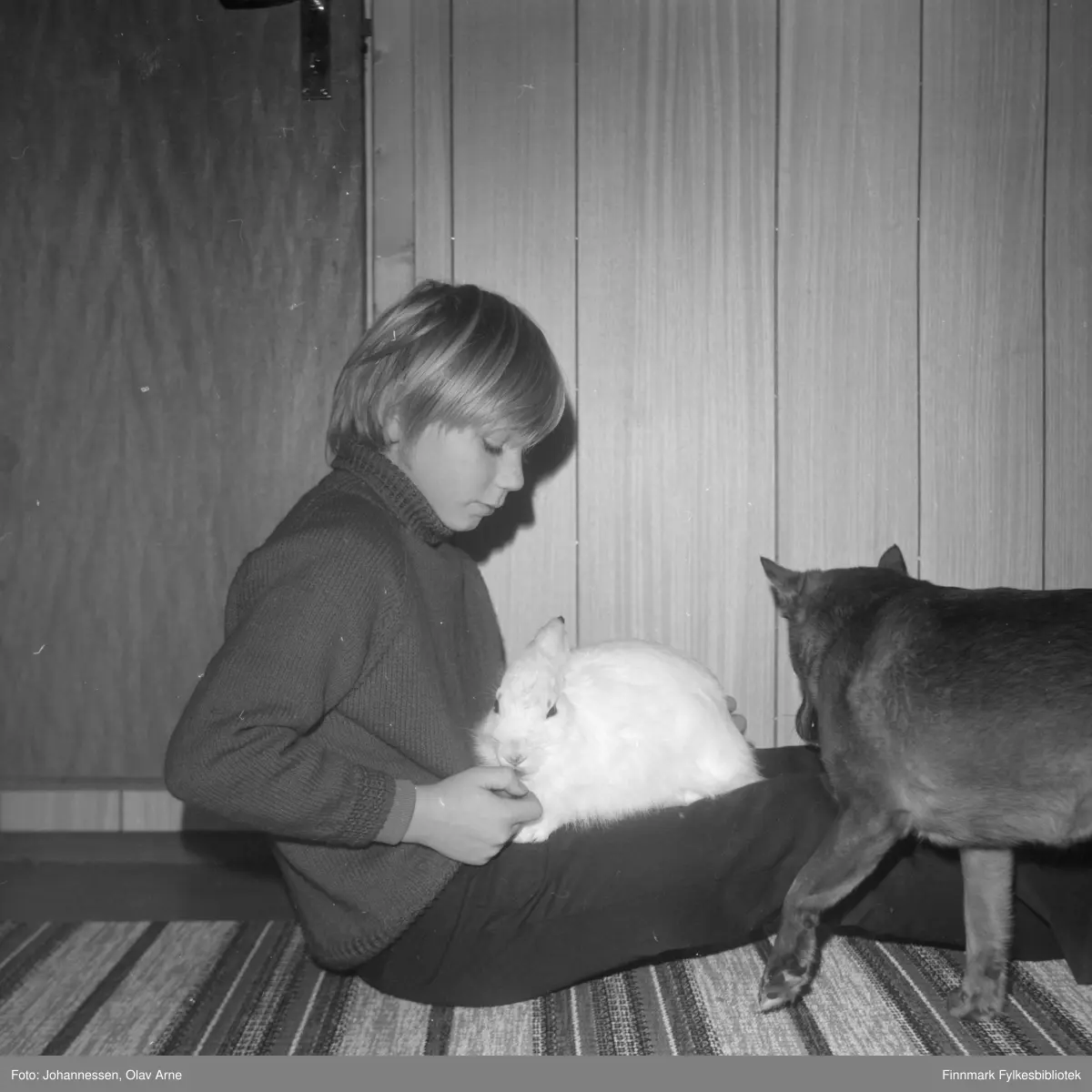 Et foto av en ung gutt sammen med en hare

Kanskje Arnfinn Kristiansen, sønn til Hermod Kristiansen, som var kaiformann på Båtsfjordbruket? (usikker identifisering)