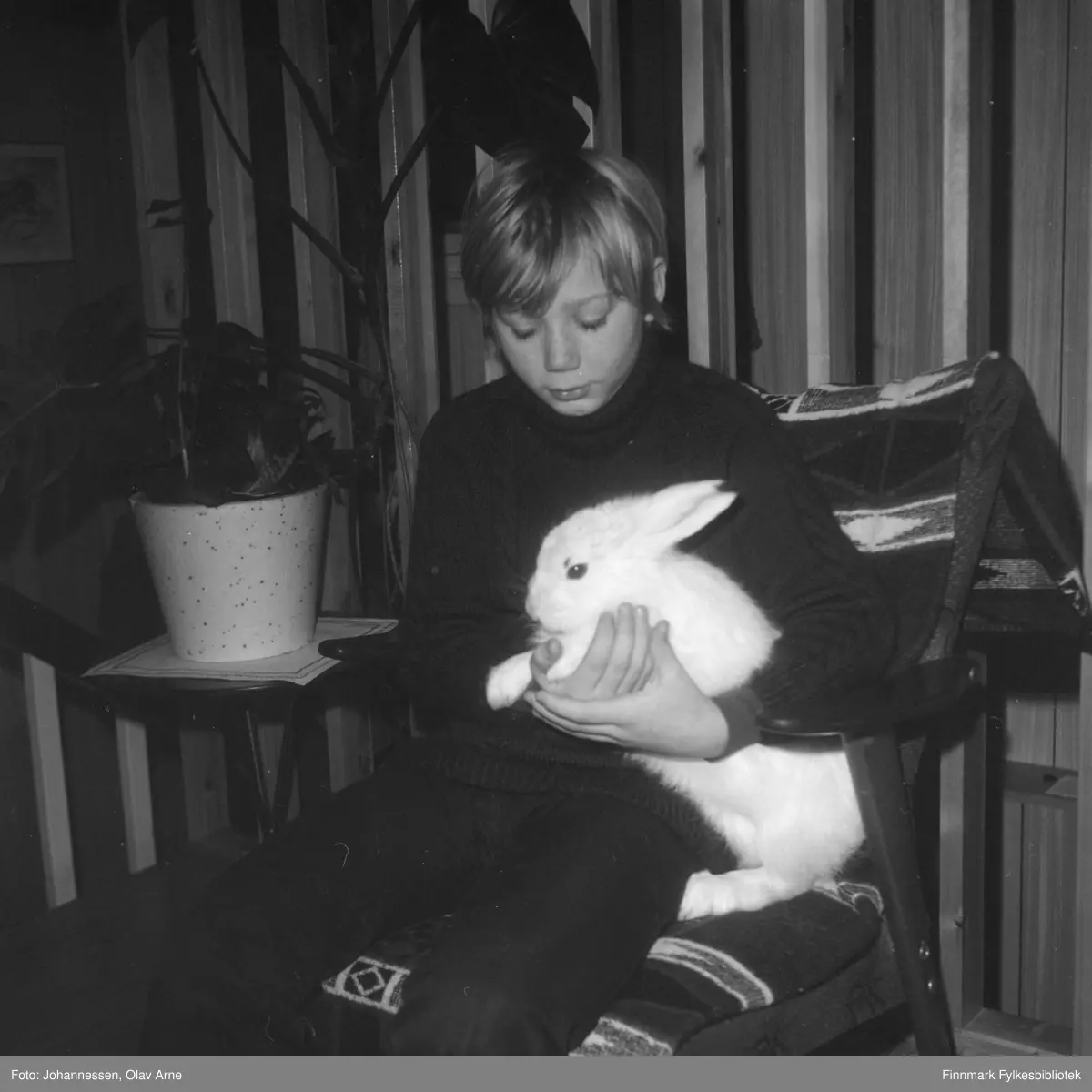 Et foto av en ung gutt sammen med en hare

Kanskje Arnfinn Kristiansen, sønn til Hermod Kristiansen, som var kaiformann på Båtsfjordbruket? (usikker identifisering)