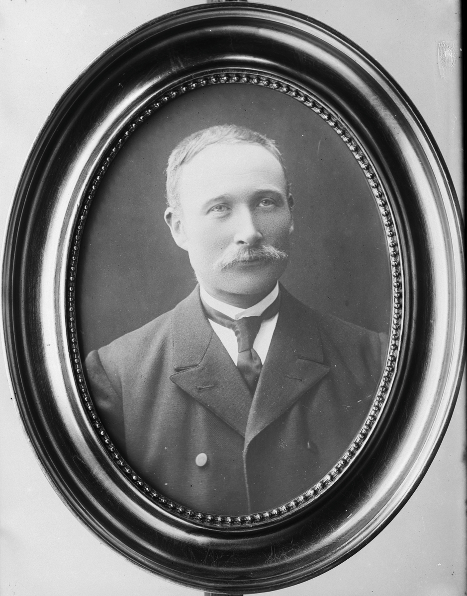 Elias Larsen Aarem (kopi)