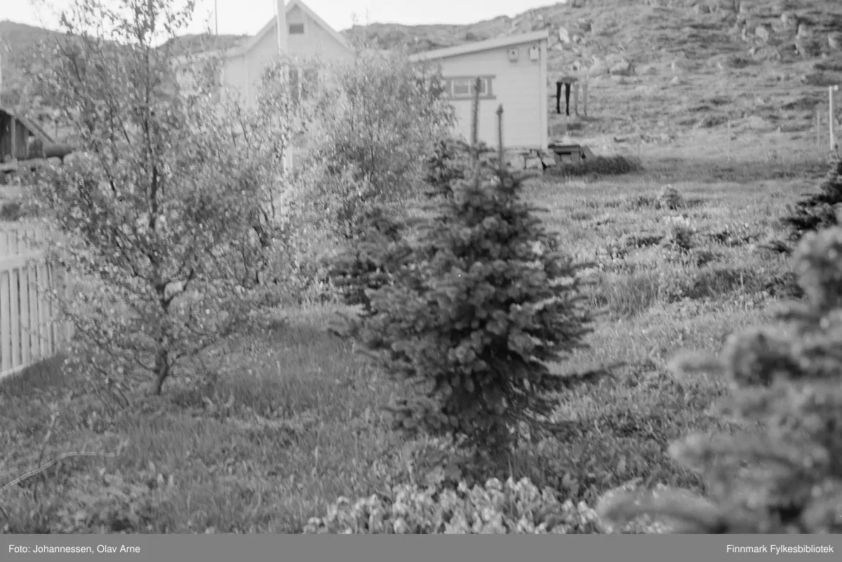 Foto av ukjent sted 

Trær i forgrunnen med bolighus i bakgrunnnen. Til høyre kan man se klær som henger til tørk på line 

Foto trolig tatt på 1970-tallet