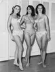 Topp tre i Miss Universum-tävlingen i Miami Beach 1964. Miss Irsael, Miss Greece och Miss Sweden: Siv Åberg.