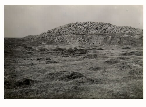 Fornlämningar på Getterön, Stora Gubbanäsan. Bild E1534 visar gravröse och fornstrandlinjer, övriga två bilder visar gravrösen från bronsåldern.