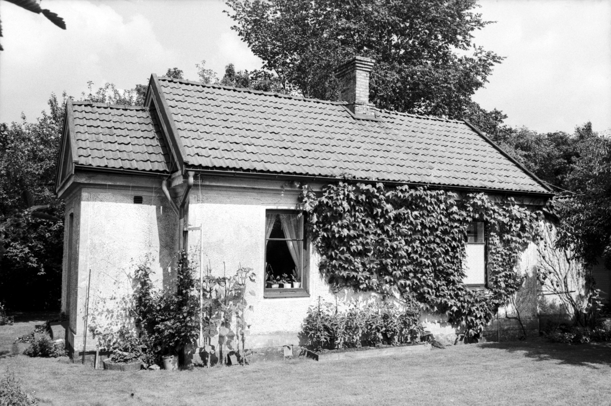 Fiolbyggare Arne Hakberg.