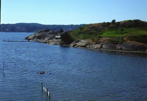 Vy mot Hunehals borgruin på Hanhals holme, söder om Rolfsåns mynning. Hunehals Borg stod högt uppe på en klippa i Kungsbackafjorden, söder om inloppet till det som senare skulle bli Kungsbacka stad. När första typen av befästning anlades här är inte känt, men senare rön pekar på att en borg uppförts vid 1200-talets början, senast på 1240-talet. Niels Nielsen fick Norra Halland som danskt grevskap år 1241, till fri besittning för sig och sina arvingar. Hans son, greve Jakob Nielsen lät på 1280-talet förstärka denna, men omkring 100 år senare förstördes borgen, vars sten senare användes till andra byggnationer.