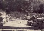 Dragsmarks kloster.

Fotografi föreställande Dragsmarks klosterruin.
På framsidan påklistrad lapp med Knut Adrian Anderssons anteckning:
Det inre av Dragsmarks klosterruin.
Sommaren 1898
Hulda Hasselgren dedit.

På baksidan antecknat med blyerts:
Från Dragsmark
Det inre af kyrkoruinen.
Till Uddevalla museum af
Hulda Hasselgren
Sommaren 1898